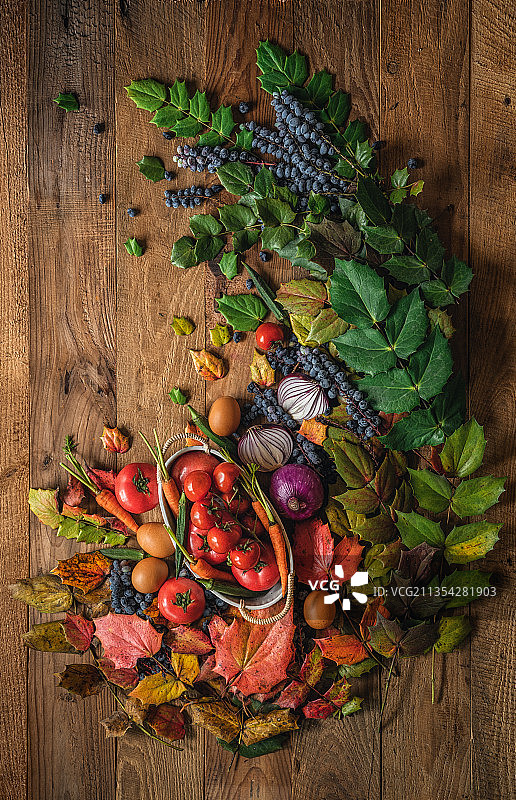 美食拍摄秋天收获图片素材