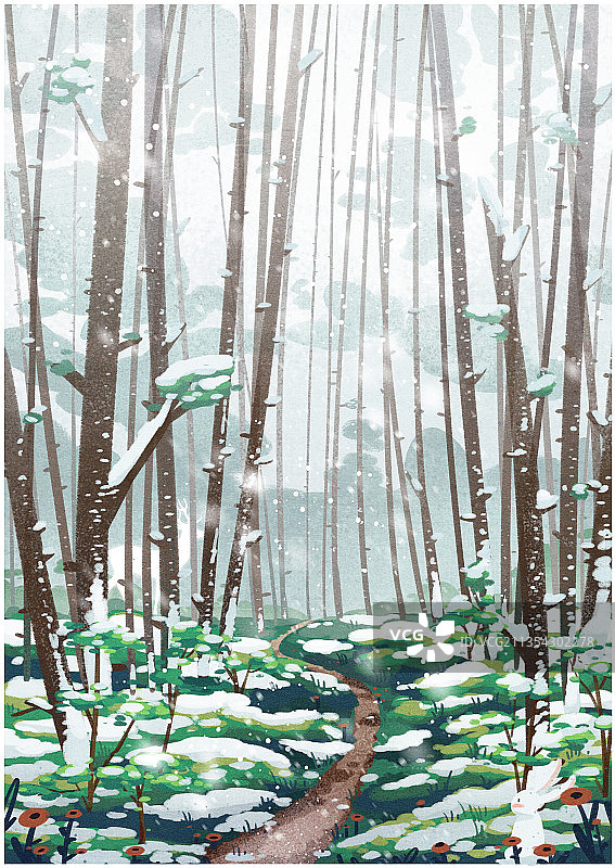 雪中的树林图片素材