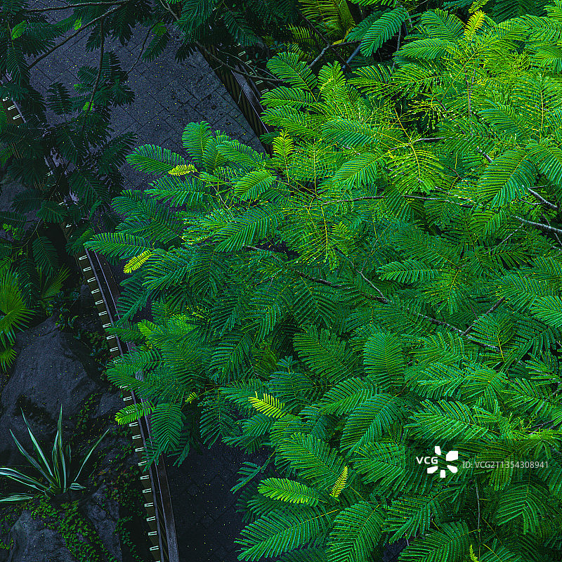 海南的秋雨图片素材
