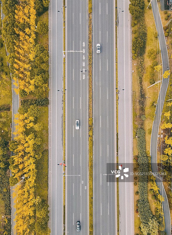 十月，秋的主场图片素材