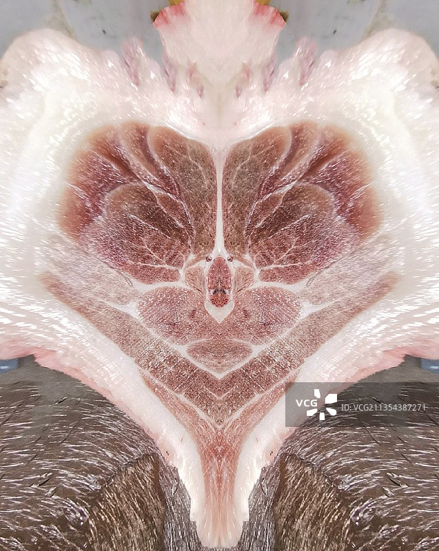 肉纹花脸谱图片素材