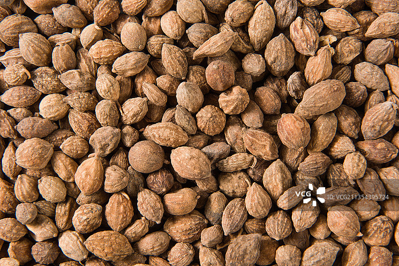 中药材益智仁背景图片素材