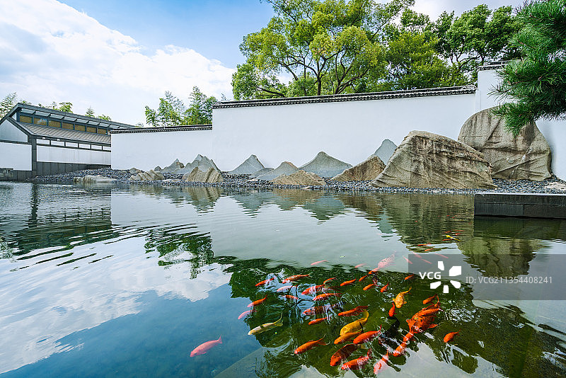 苏州博物馆特色江南建筑与池塘里的锦鲤鱼图片素材