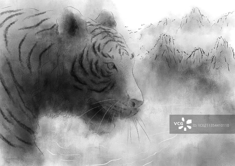 老虎在山水中图片素材