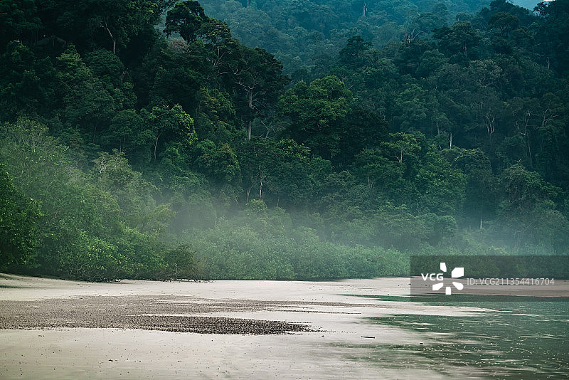 马来西亚兰卡威的森林图片素材