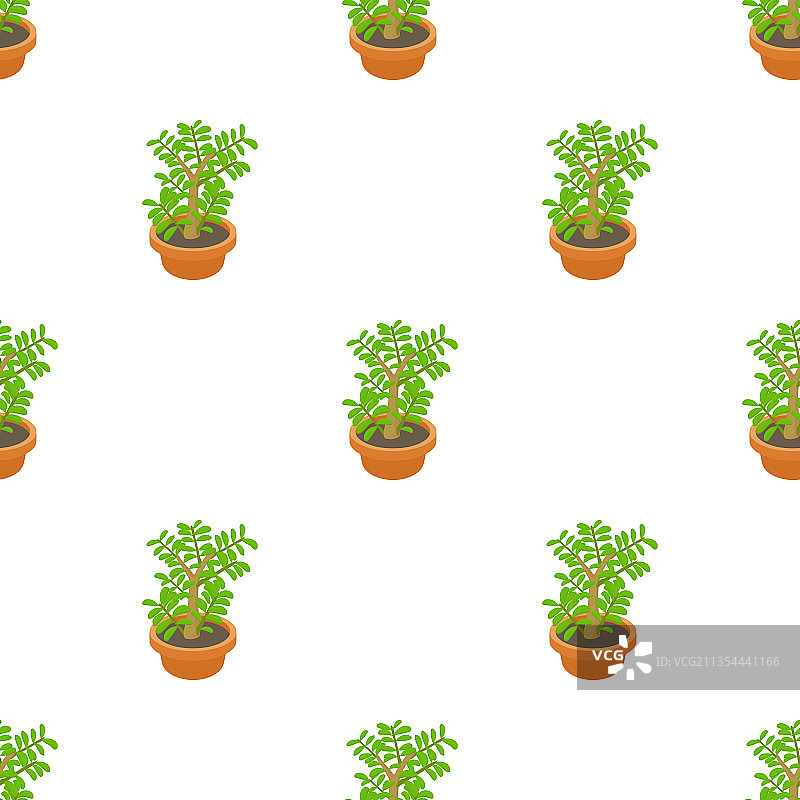 青锁龙多肉植物无缝图案图片素材