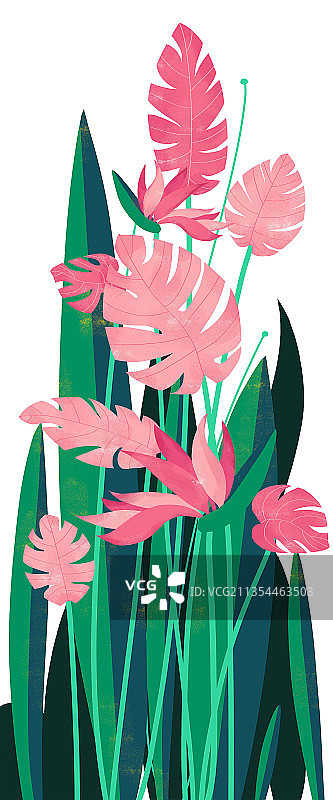 小清新花卉植物系列图片素材