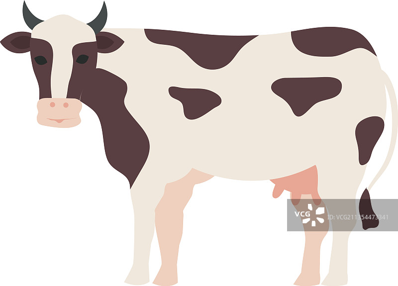 农场动物奶牛图片素材