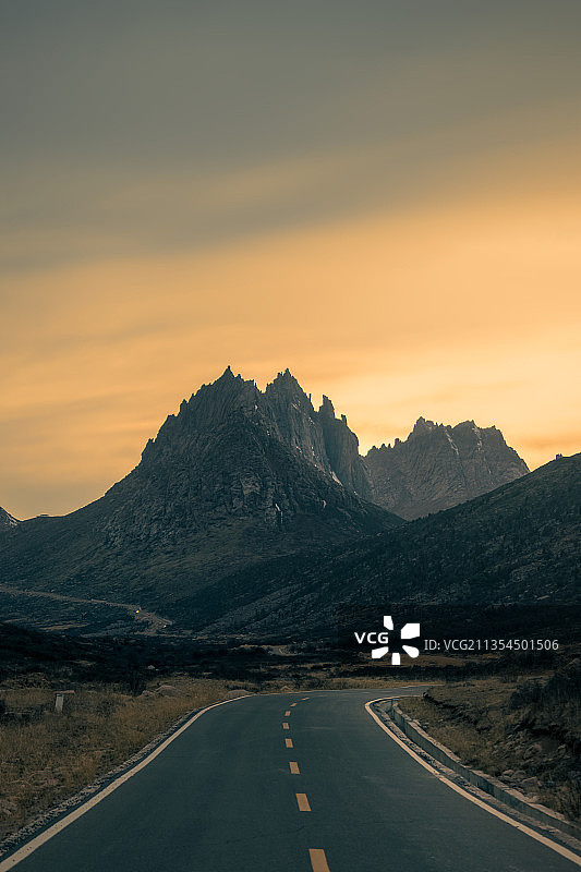 魔幻之路——莲宝叶则图片素材