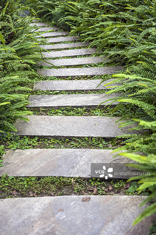 成都浣花溪公园小路图片素材