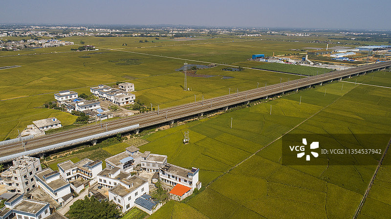 广西南宁：动车奔驰在金色稻浪上图片素材