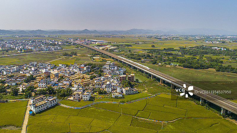 广西南宁：动车奔驰在金色稻浪上图片素材