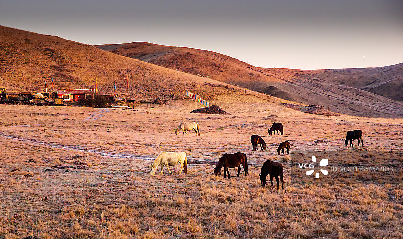 四川诺尔盖草原深秋图片素材