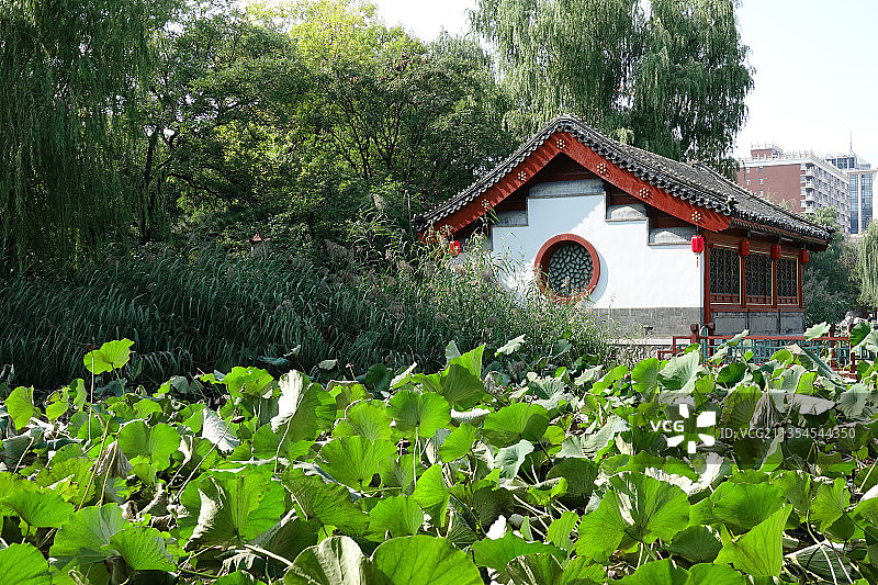 《红楼梦》取景拍摄地北京大观园图片素材