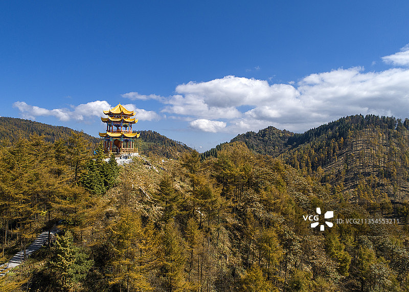 湖北：建始县长岭岗国有林场万亩日本落叶松秋色如画图片素材