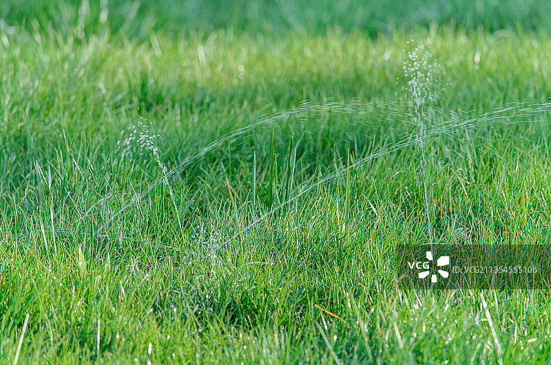 中国山东泰安徂汶景区大汶河绿化小路图片素材