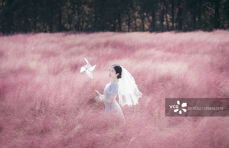 粉色天国图片素材