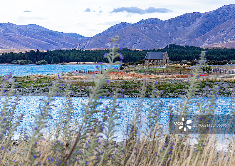 新西兰南岛蒂卡波湖牧羊人教堂图片素材