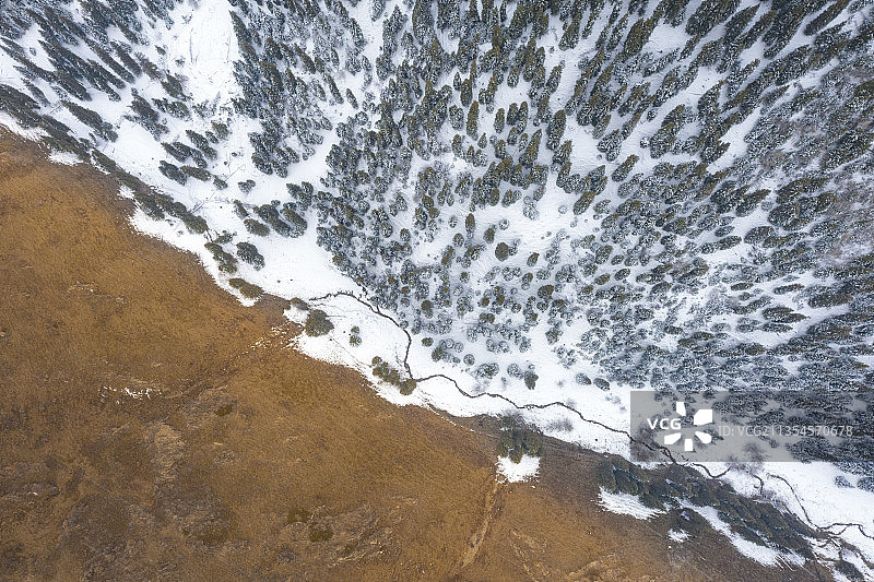 航拍，雪景，森林，抽象，雪景，冬天，色彩，分割，对比图片素材