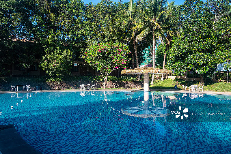 蓝天白云下，茂密的椰林环绕中，一池平静的温泉水，浓厚度假氛围图片素材