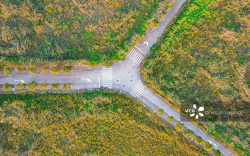 三岔路口图片素材