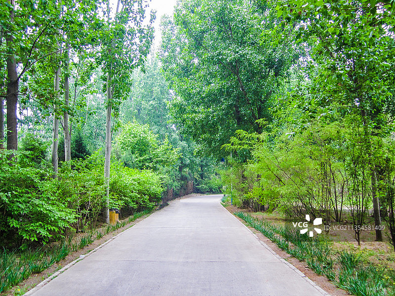 中国河北廊坊自然公园风光图片素材