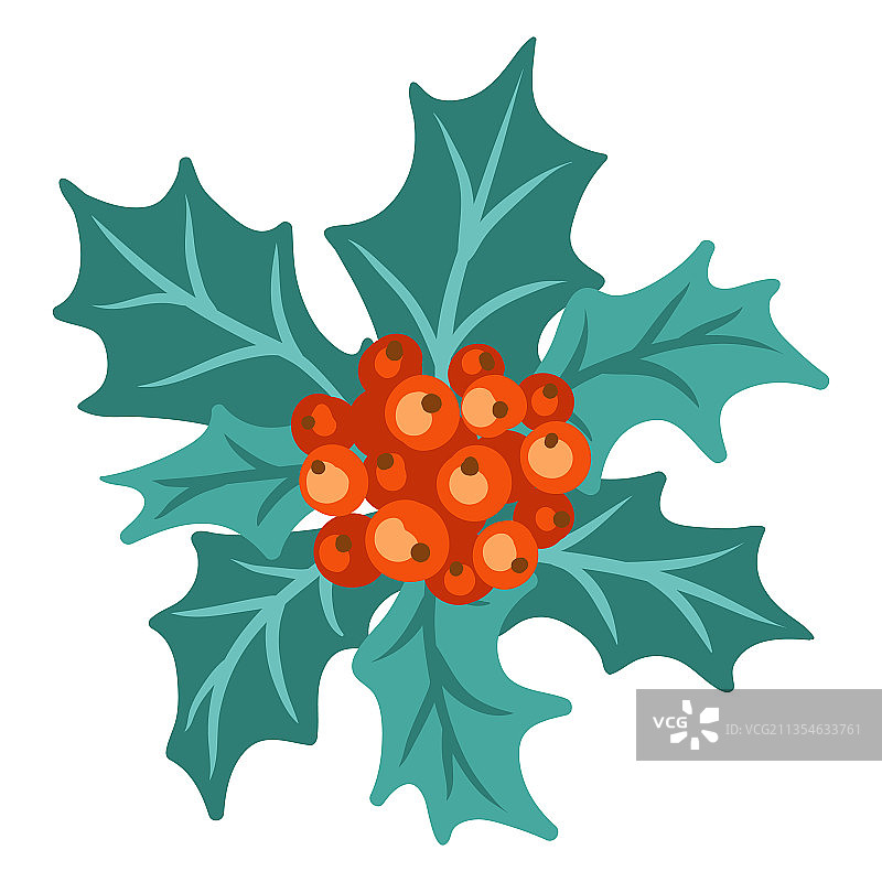 冬青浆果圣诞节图片素材