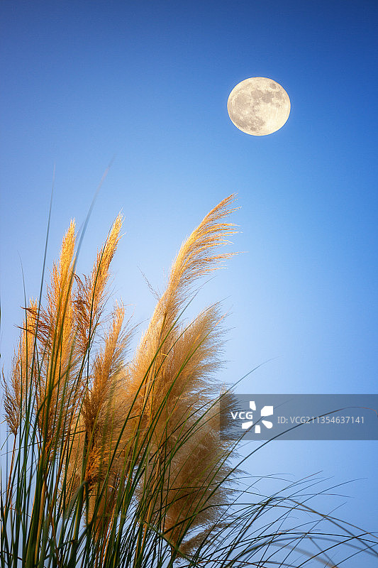 日月同辉图片素材