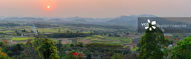 昌江木棉红图片素材
