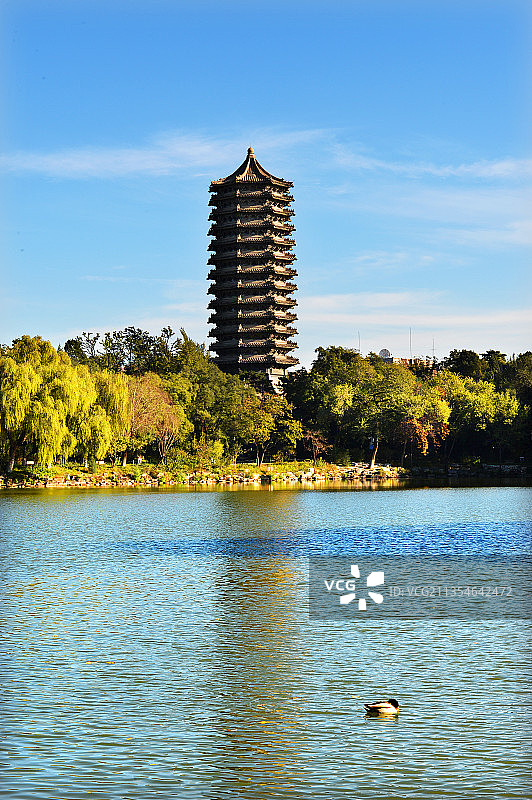 北京，北京大学，鸣鹤园。图片素材