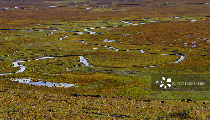 中国甘肃甘南玛曲阿万仓湿地公园图片素材