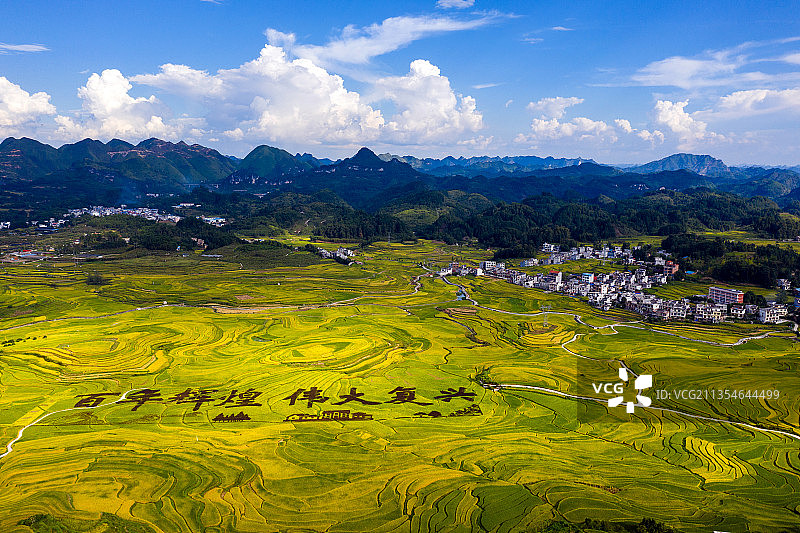 秋收景象（中国 广西）图片素材