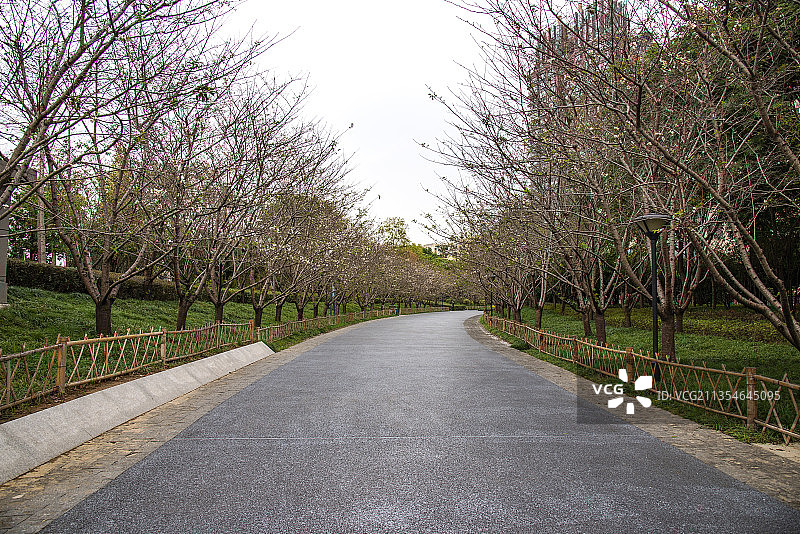 金华国际友城公园图片素材