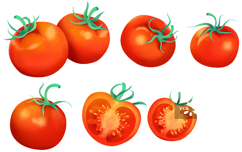 新鲜的番茄西红柿噪点插画图片素材