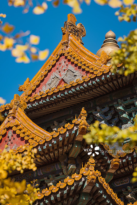 故宫角楼的秋色图片素材