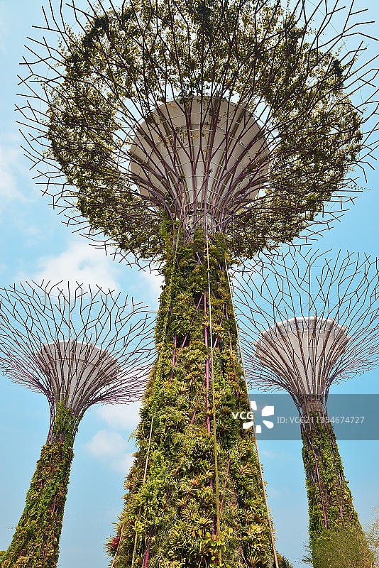 新加坡 滨海湾花园图片素材