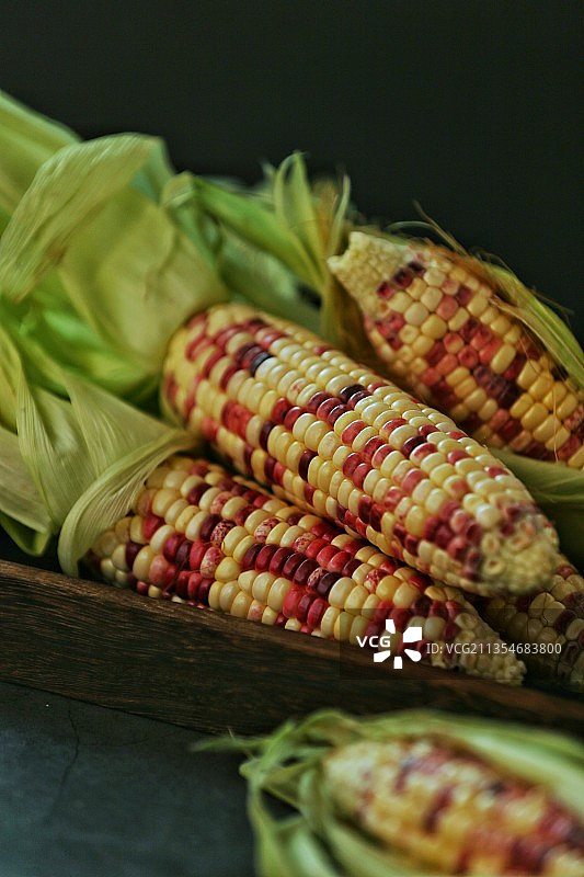 玉米图片素材