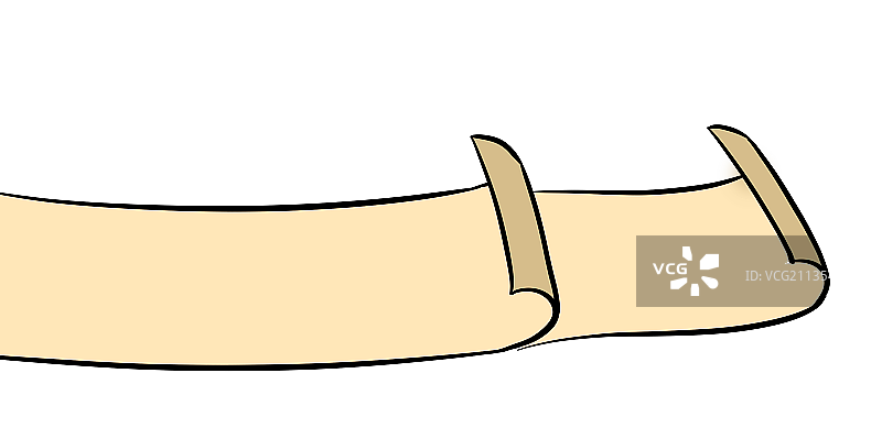 两卷纸图片素材