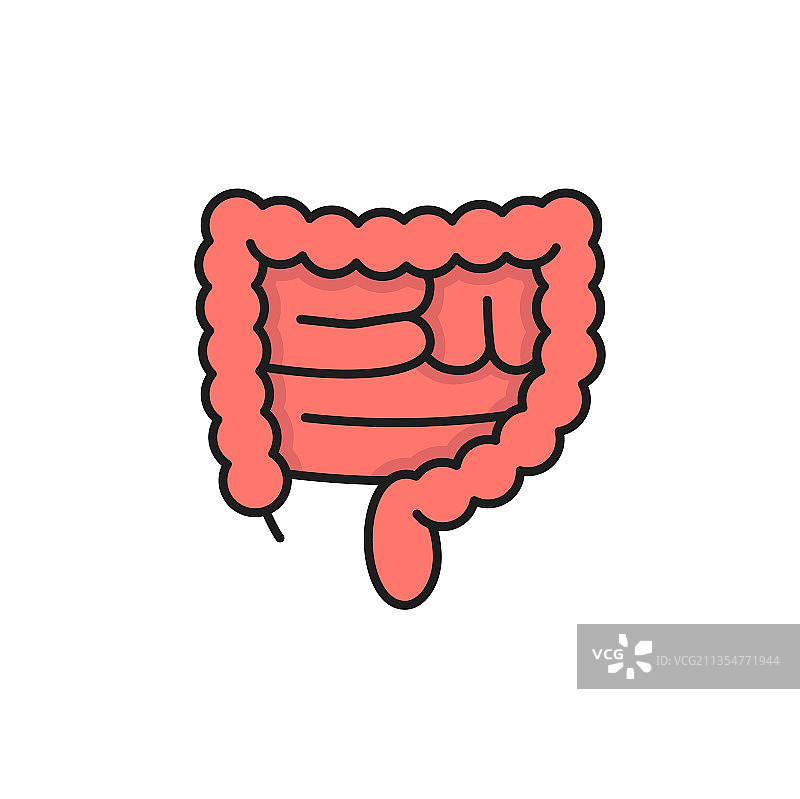 直肠红色大肠人体器官彩色线条图片素材