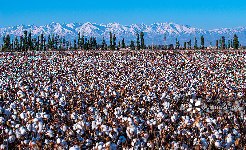 天山脚下图片素材