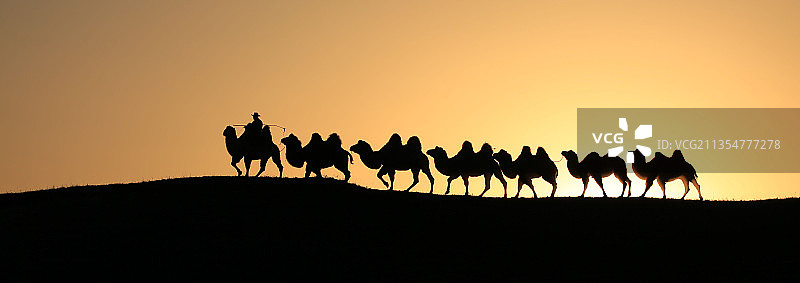 欢腾乌兰布统大草原图片素材