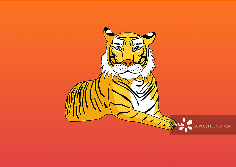 老虎矢量插画-2图片素材