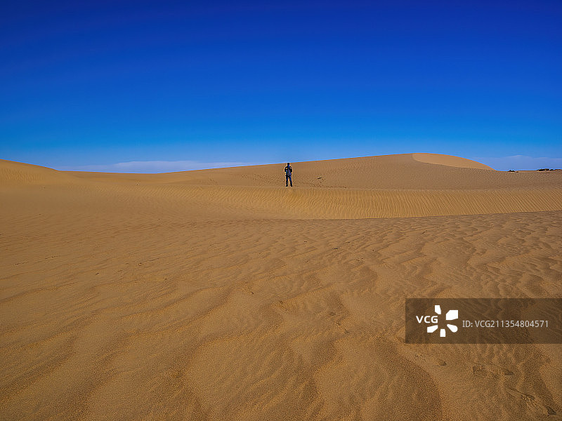 格尔木沙漠秋天的胡杨-托拉海河图片素材