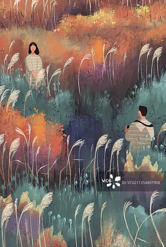 景观，秋季，季节，自然，潘帕斯草原，情侣，田野图片素材