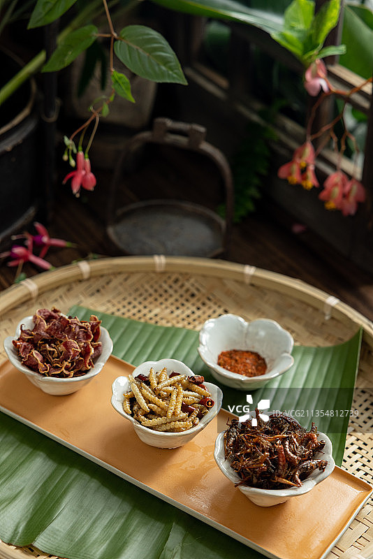 昆虫拼盘图片素材