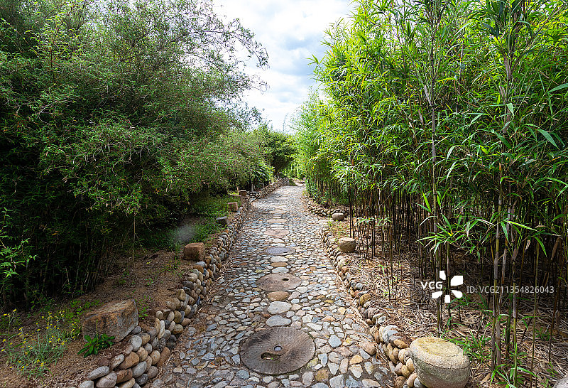 浙江温州泰顺县竹里生态村图片素材