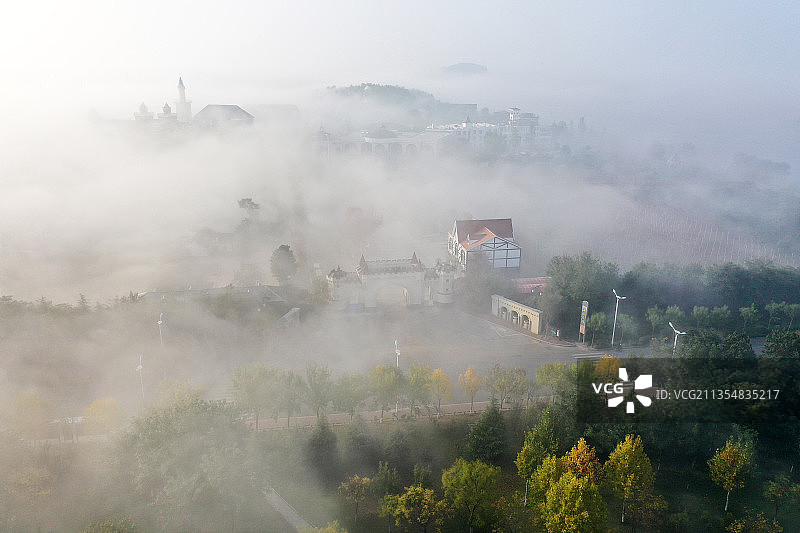 平流雾笼罩下的山东枣庄山亭区汉诺葡萄庄园美景图片素材