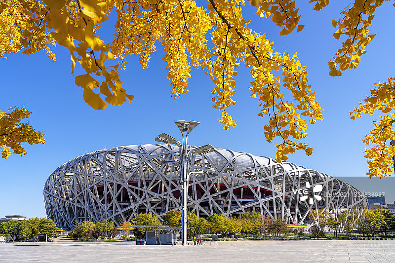 鸟巢秋色图片素材