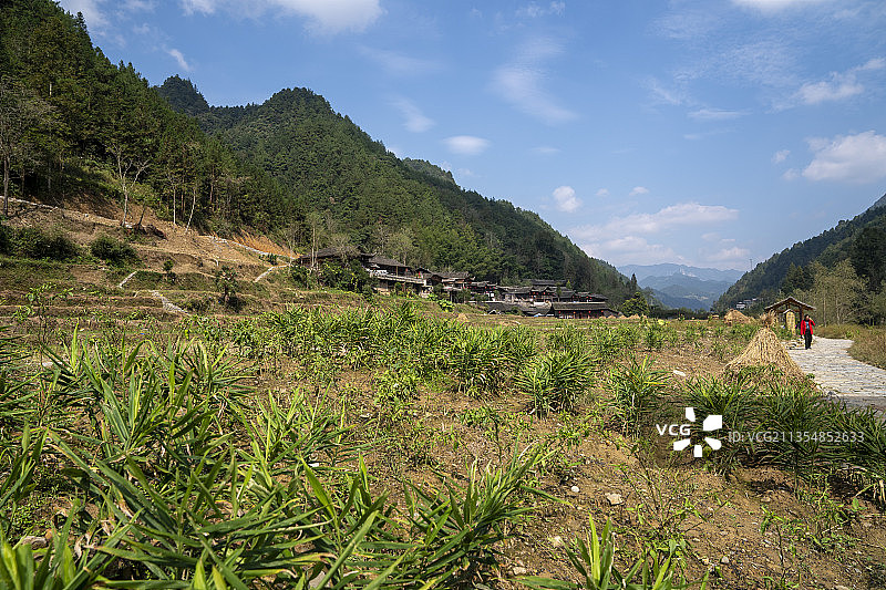 彭家寨吊脚楼古建筑群图片素材