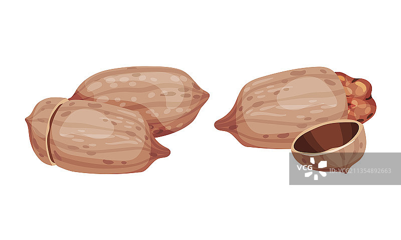 带壳山核桃，健康食品图片素材